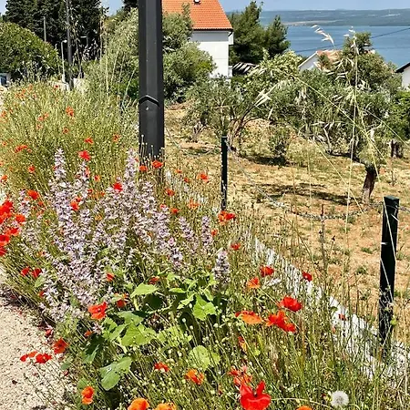 Seascape - Relaxing Home, Steps From The Water! Bilice