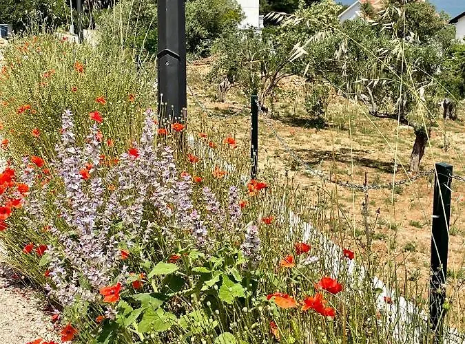 Seascape - Relaxing Home, Steps From The Water! 比利切